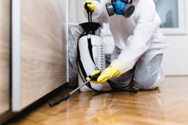 Best Commercial Pest Control Services  in Mendota, IL